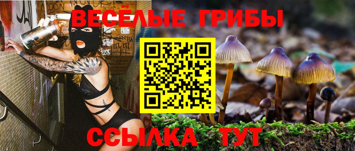 Ростов-на-Дону  Галлюциногенные грибы ЛСД  Вход с VPN 